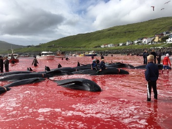 faroe1